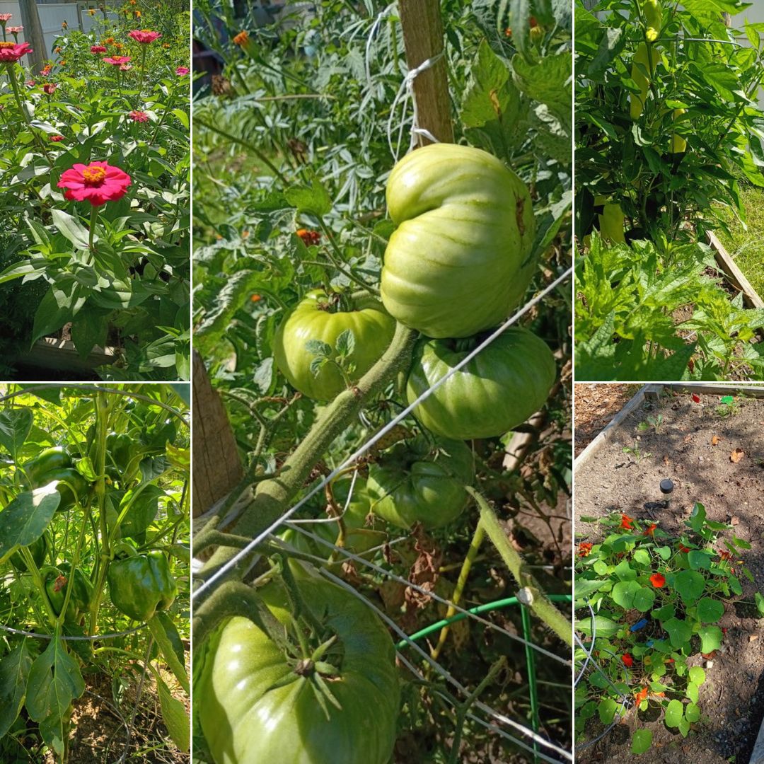 Shakti Garden