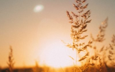 The Betwixt Times: A Ritual for End of Summer