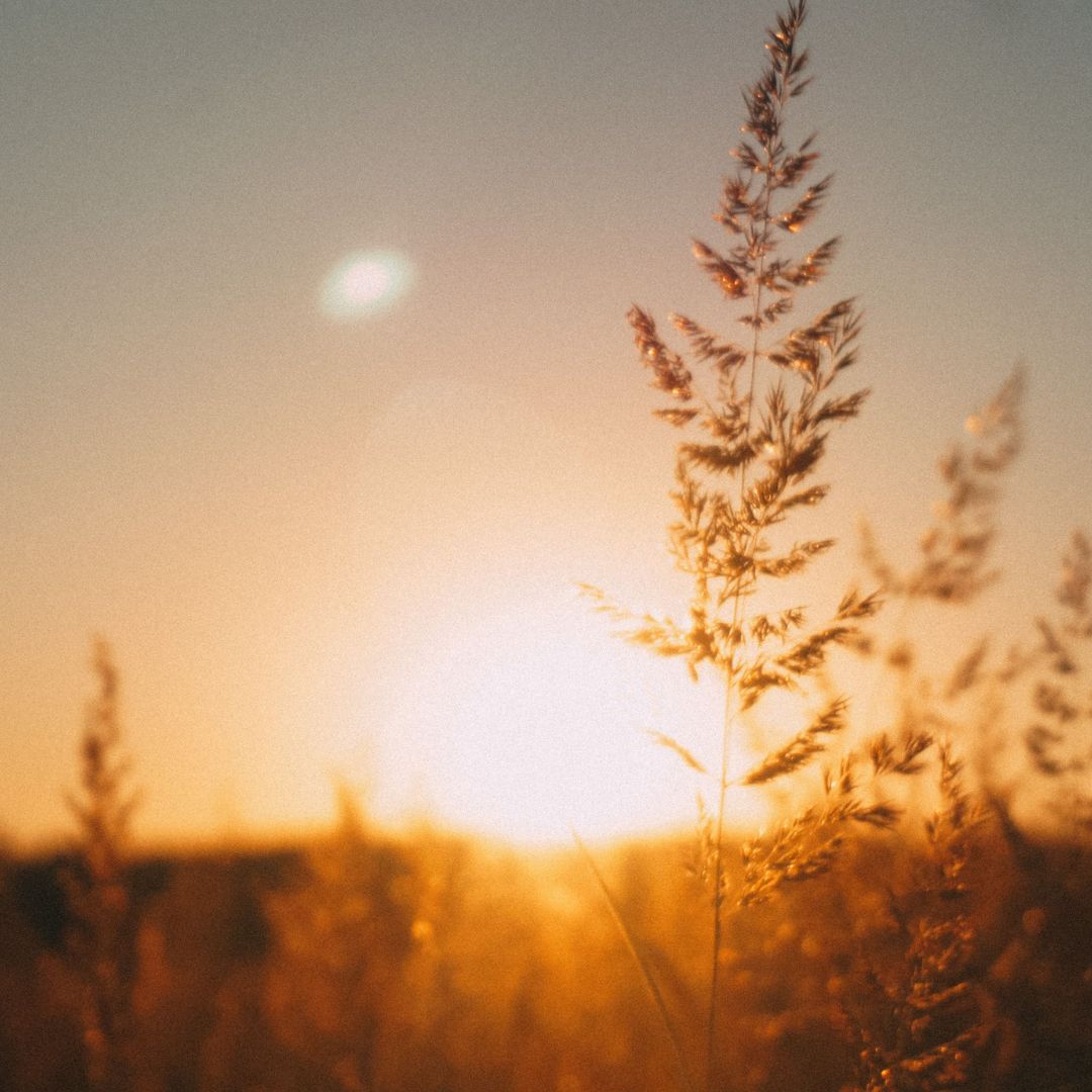 The Betwixt Times: A Ritual for End of Summer