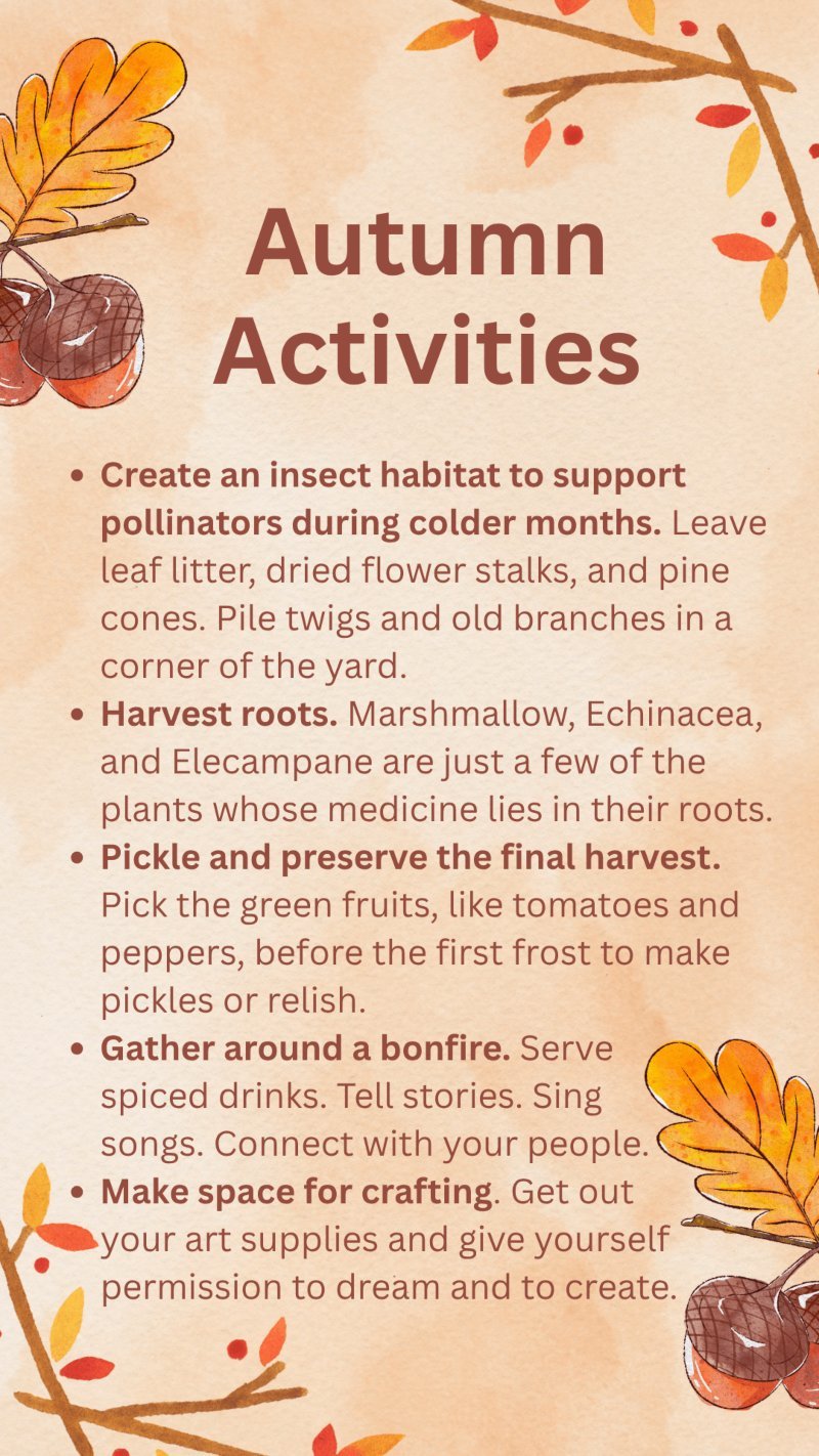 Autumn Activities 