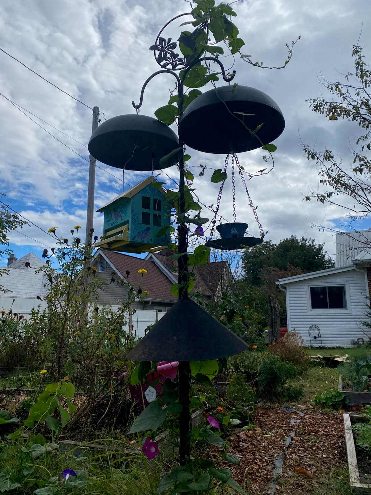 Shakti Garden
